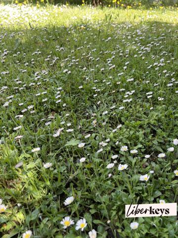 Urgent terrain constructible pour habitation de 130 m2 