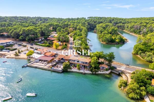 À Vendre  Maison d'Exception avec Vue Panoramique sur le Bassin d'Arcachon