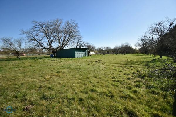 Maison à vendre 7 pièces CHOUZY SUR CISSE (41)