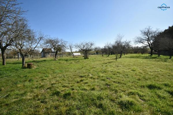 Maison à vendre 7 pièces CHOUZY SUR CISSE (41)