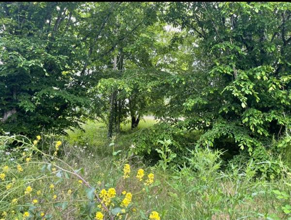 Terrain à vendre de 1 700,00 m² FONDETTES