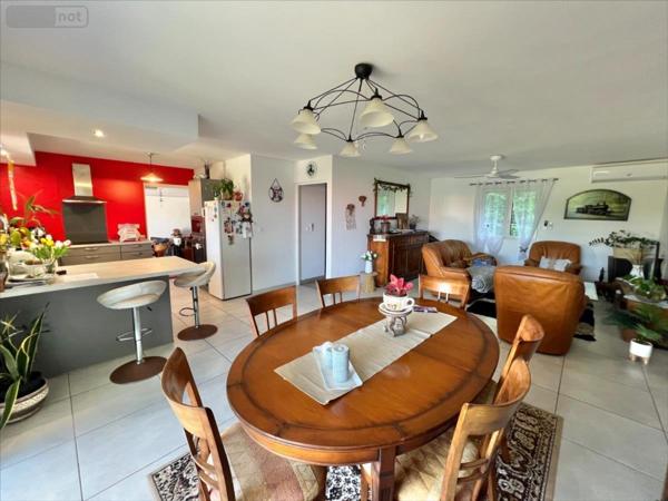 Maison à vendre à Saint-Joseph à la Réunion (97480), ref : 40101