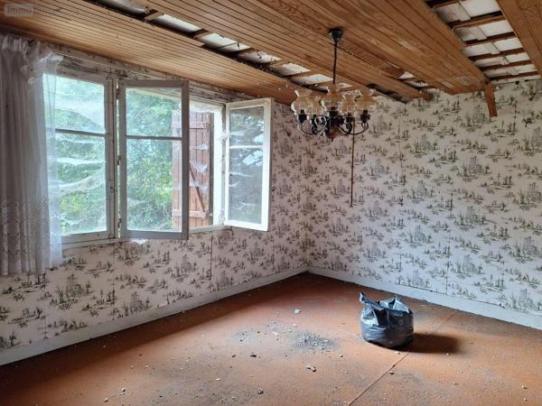 Fermette à vendre à Saint-Denis-de-Gastines en Mayenne (53500), ref : 53077-6