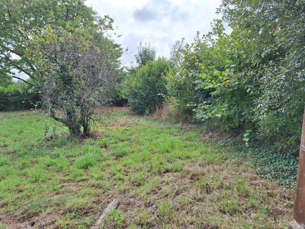 Fermette à vendre à Saint-Denis-de-Gastines en Mayenne (53500), ref : 53077-6