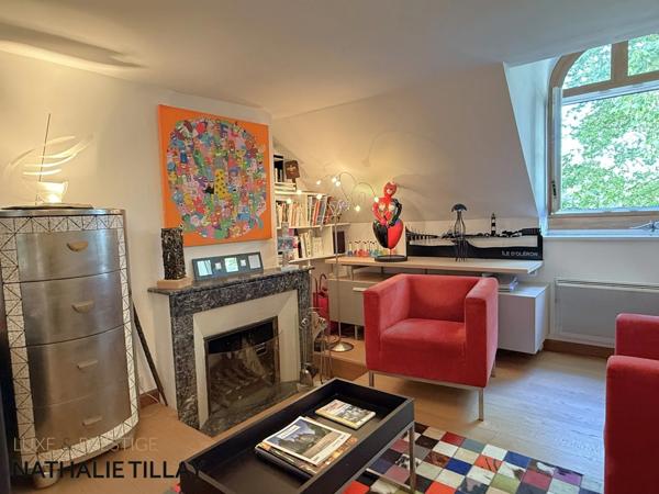 Appartement esprit loft, a vendre, Face Loire Orleans, dernier etage en hotel particulier