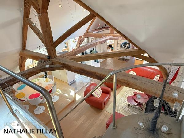 Appartement esprit loft, a vendre, Face Loire Orleans, dernier etage en hotel particulier