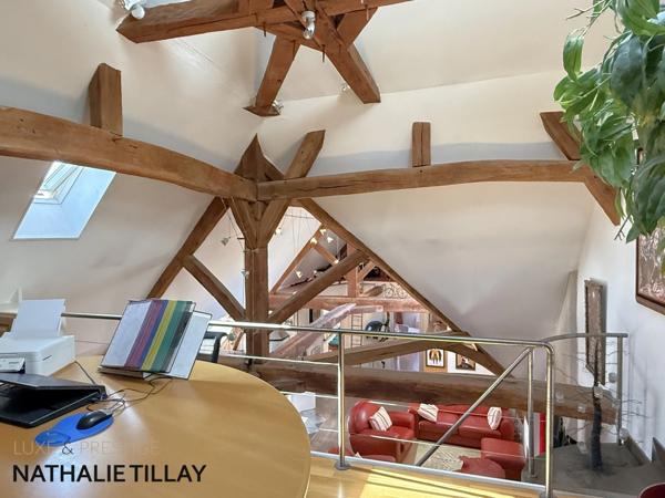 Appartement esprit loft, a vendre, Face Loire Orleans, dernier etage en hotel particulier