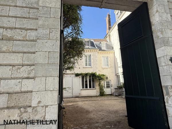 Appartement esprit loft, a vendre, Face Loire Orleans, dernier etage en hotel particulier