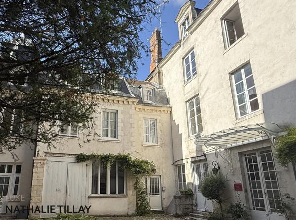 Appartement esprit loft, a vendre, Face Loire Orleans, dernier etage en hotel particulier
