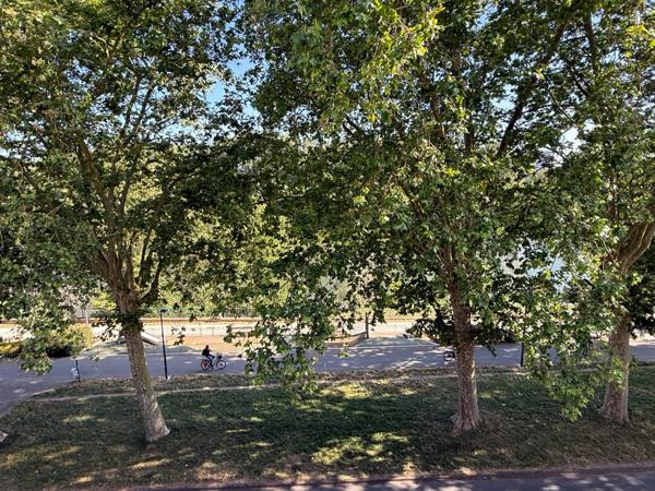 Appartement esprit loft, a vendre, Face Loire Orleans, dernier etage en hotel particulier
