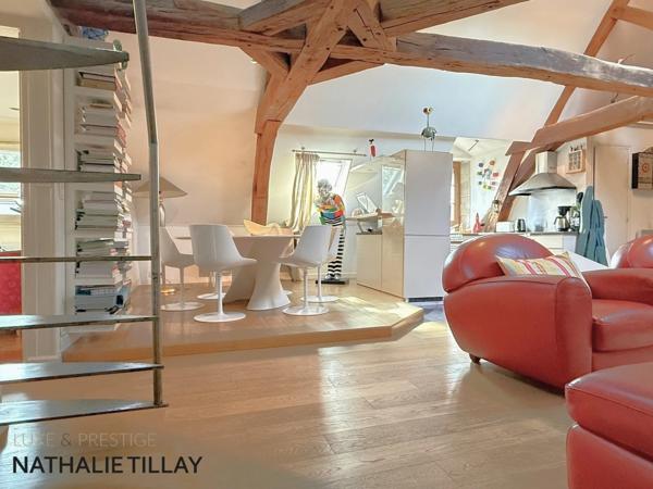 Appartement esprit loft, a vendre, Face Loire Orleans, dernier etage en hotel particulier