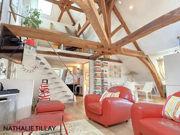 Appartement esprit loft, a vendre, Face Loire Orleans, dernier etage en hotel particulier