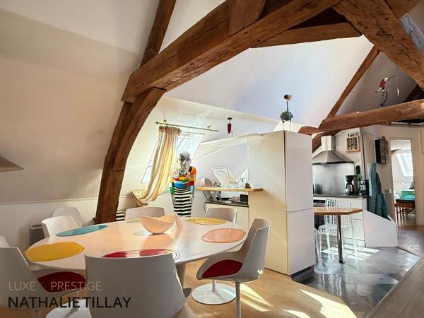 Appartement esprit loft, a vendre, Face Loire Orleans, dernier etage en hotel particulier