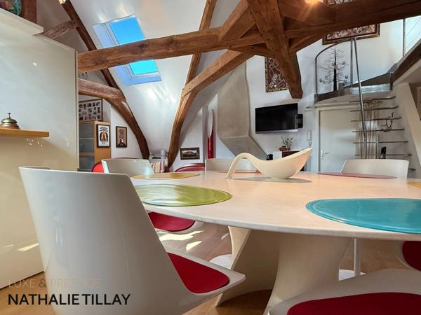 Appartement esprit loft, a vendre, Face Loire Orleans, dernier etage en hotel particulier
