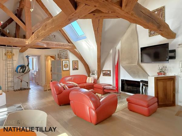 Appartement esprit loft, a vendre, Face Loire Orleans, dernier etage en hotel particulier