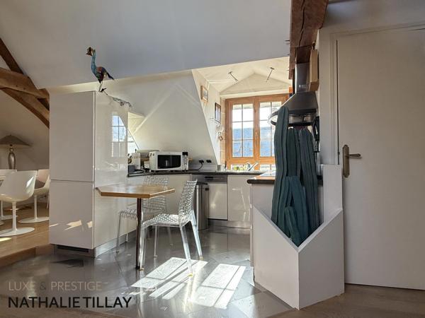 Appartement esprit loft, a vendre, Face Loire Orleans, dernier etage en hotel particulier