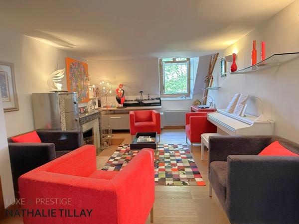 Appartement esprit loft, a vendre, Face Loire Orleans, dernier etage en hotel particulier