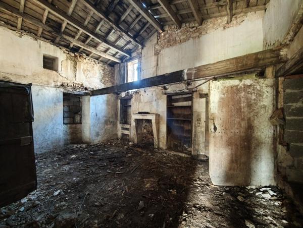 Chateauneuf sur Charente : Maison proche bourg à rénover