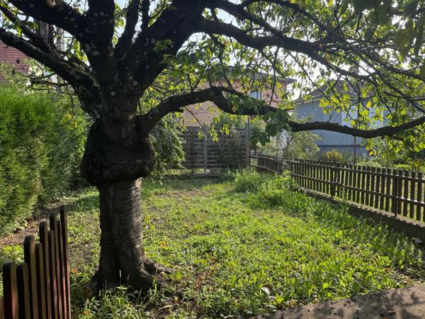 À VENDRE – Terrain constructible 760 m² – Illzach – limite Riedisheim