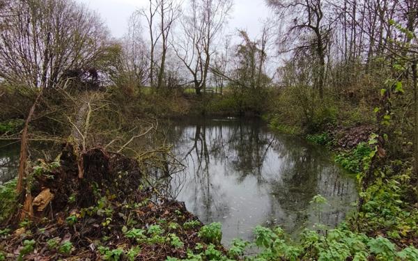 Terrain à vendre    Cartigny