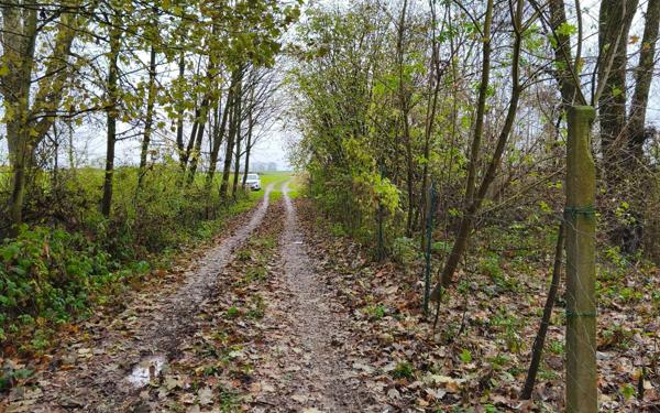 Terrain à vendre    Cartigny