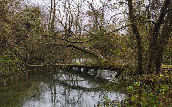 Terrain à vendre    Cartigny