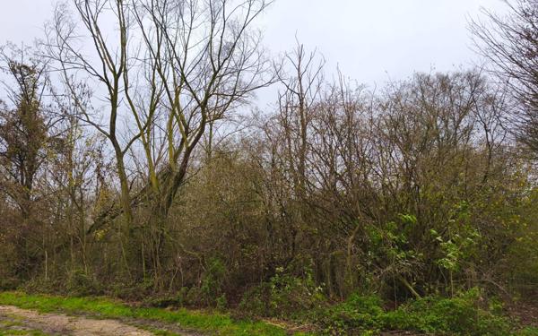 Terrain à vendre    Cartigny