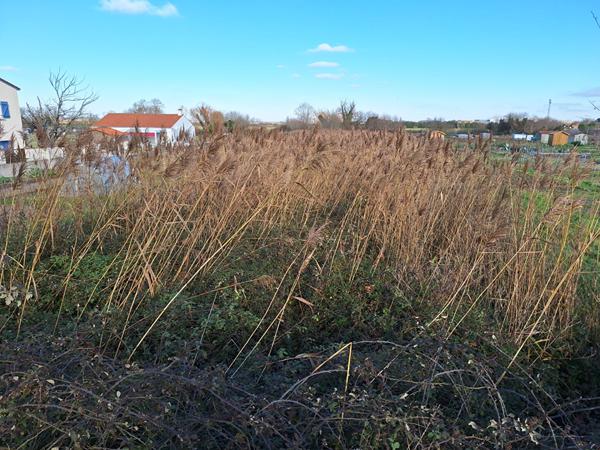 Terrain non constructible la Tranche sur Mer