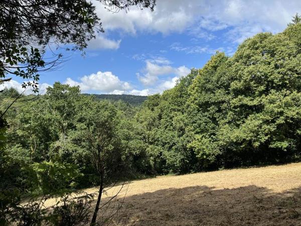 Maison à vendre |  Châteaulin |  9 pièces | 232 m²