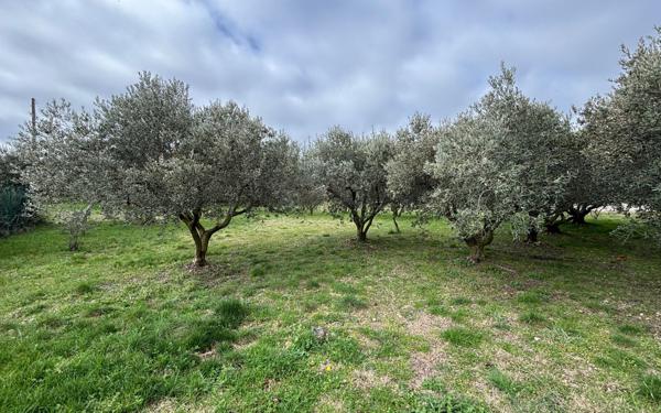 Terrain à vendre    Caumont-sur-Durance