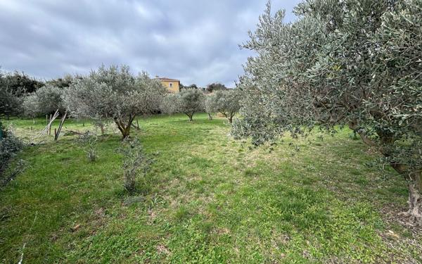 Terrain à vendre    Caumont-sur-Durance