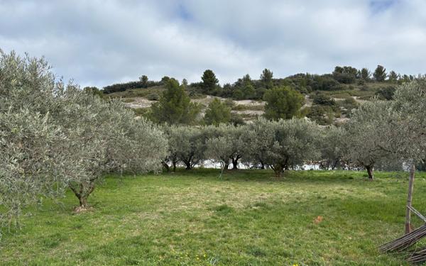 Terrain à vendre    Caumont-sur-Durance