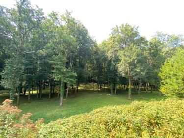 Maison à vendre à Châtillon-sur-Indre dans l'Indre (36700), ref : 1050185