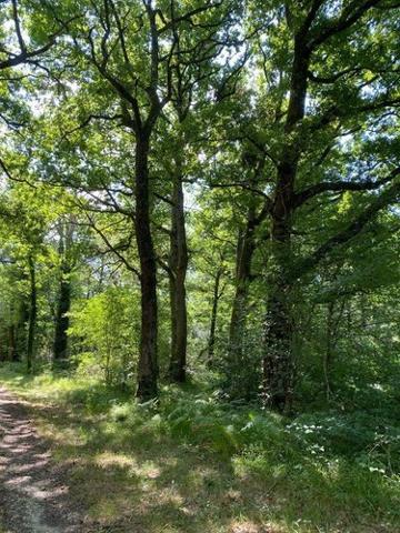 Maison à vendre à Châtillon-sur-Indre dans l'Indre (36700), ref : 1050185