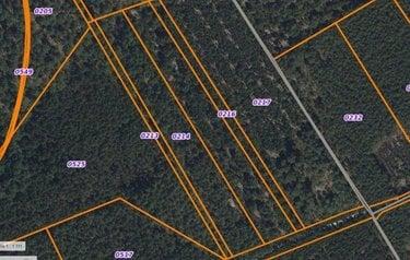 Bois à vendre à Saint-Biez-en-Belin dans la Sarthe (72220), ref : SL-72021-434