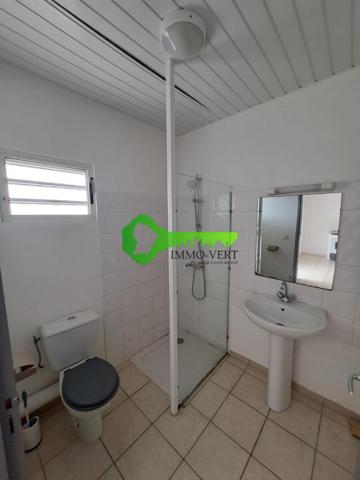 Appartement T2 meublé à Rémire-Montjoly | Immo-Vert