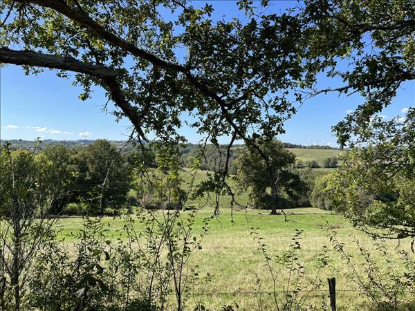 Terrain à vendre |  Saint-Cyprien |  2290 m²