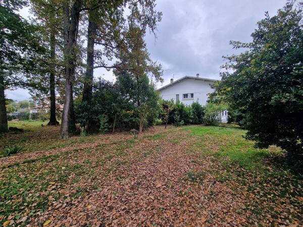 Propriété 4 chambres, jardin arboré