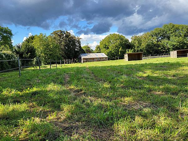 Terrain - 12784 m² Exclusivité efficity