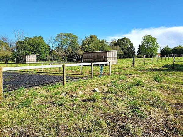 Terrain - 12784 m² Exclusivité efficity