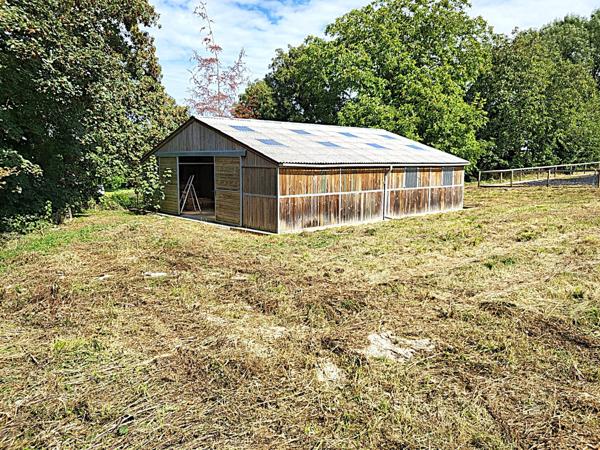 Terrain - 12784 m² Exclusivité efficity