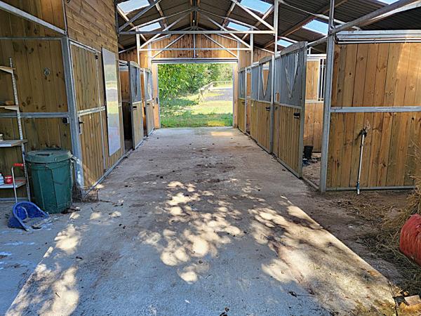 Terrain - 12784 m² Exclusivité efficity