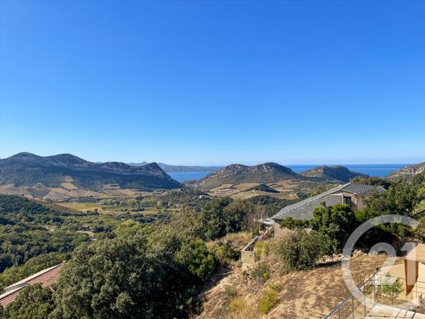 Maison à vendre  4 pièces - 149,30 m2 BARBAGGIO - 202