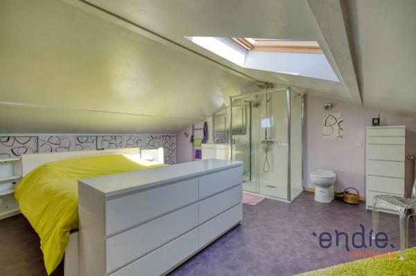Maison-Cornebarrieu-Endie Immobilier