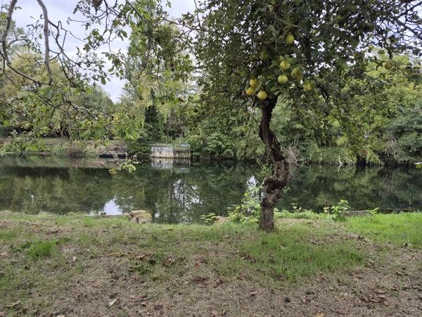 NAINTRÉ – Ensemble immobilier avec deux maisons, dépendances et accès au Clain