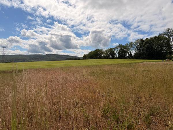 Terrain constructible sur 950 m2 viabilisé