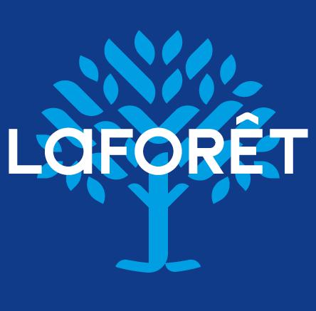 Location local commercial Montech - 250 m² - 1 300 €/mois