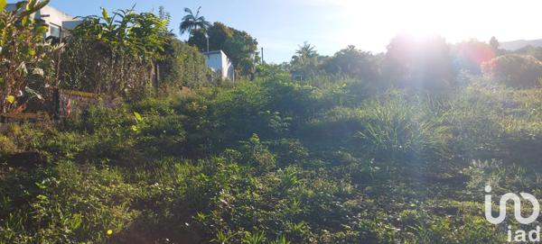 Terrain à vendre 370 m² Saint-Paul