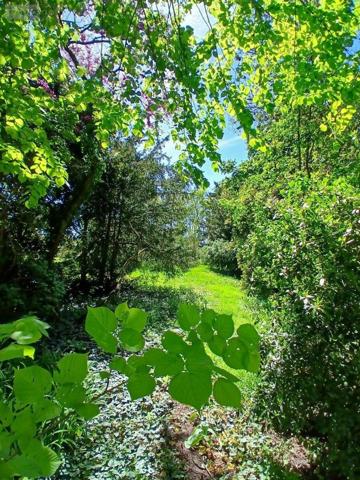 Maison de maître à vendre à Saint-Jean-le-Blanc dans le Loiret (45650), ref : 12295/229   
Route de Saint Cyr en Val