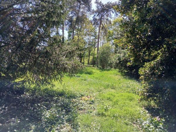 Maison de maître à vendre à Saint-Jean-le-Blanc dans le Loiret (45650), ref : 12295/229   
Route de Saint Cyr en Val